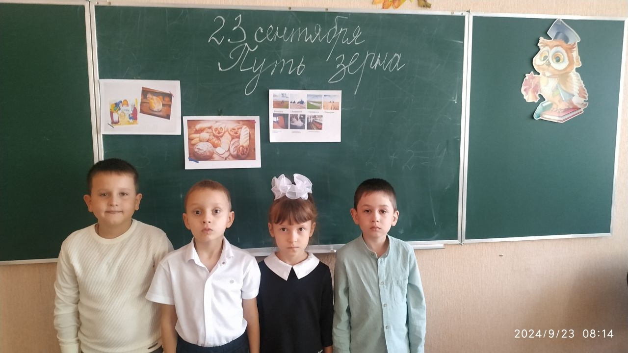 Путь зерна.